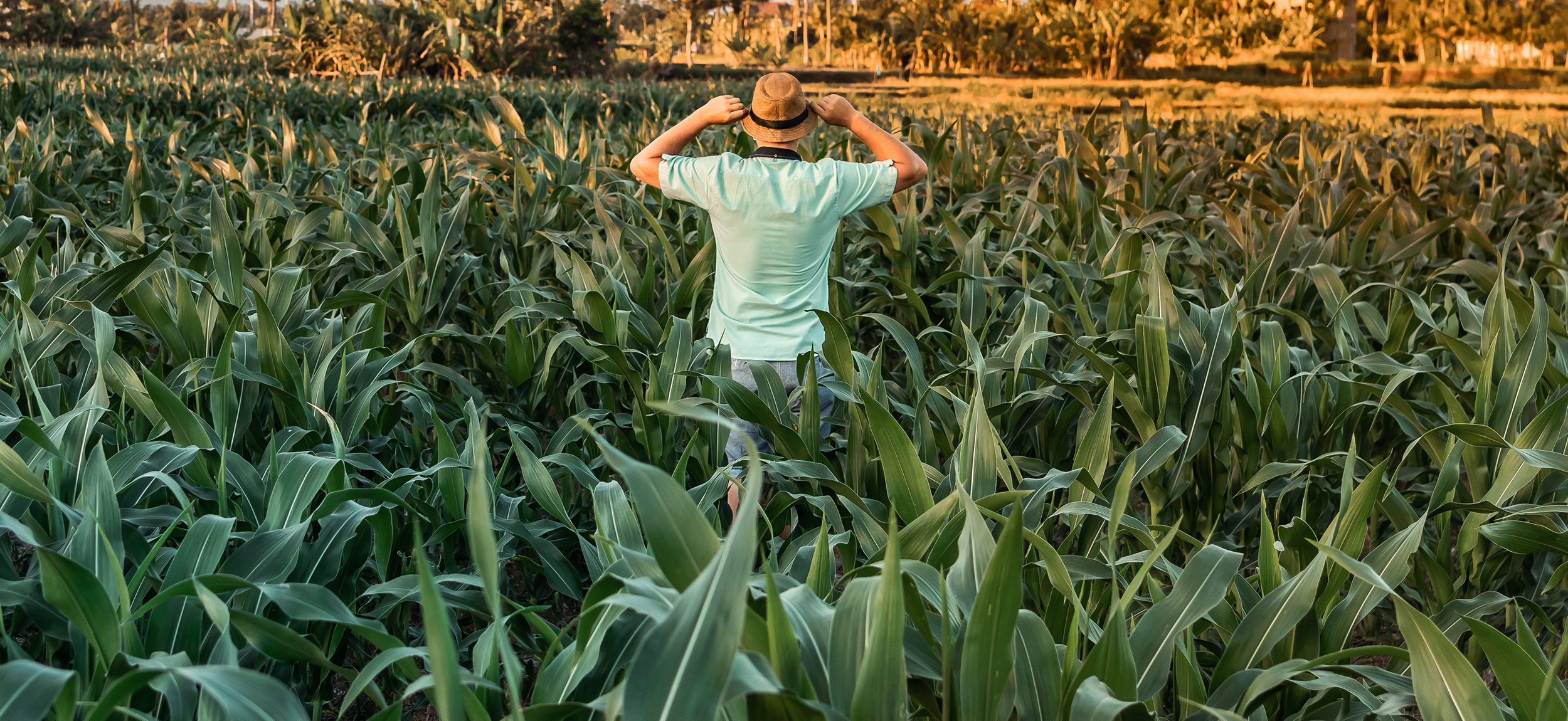 Ploughed Like A Corn Field Ending HIV Sex Article